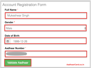 Fill in the Digitize India Registeration Form